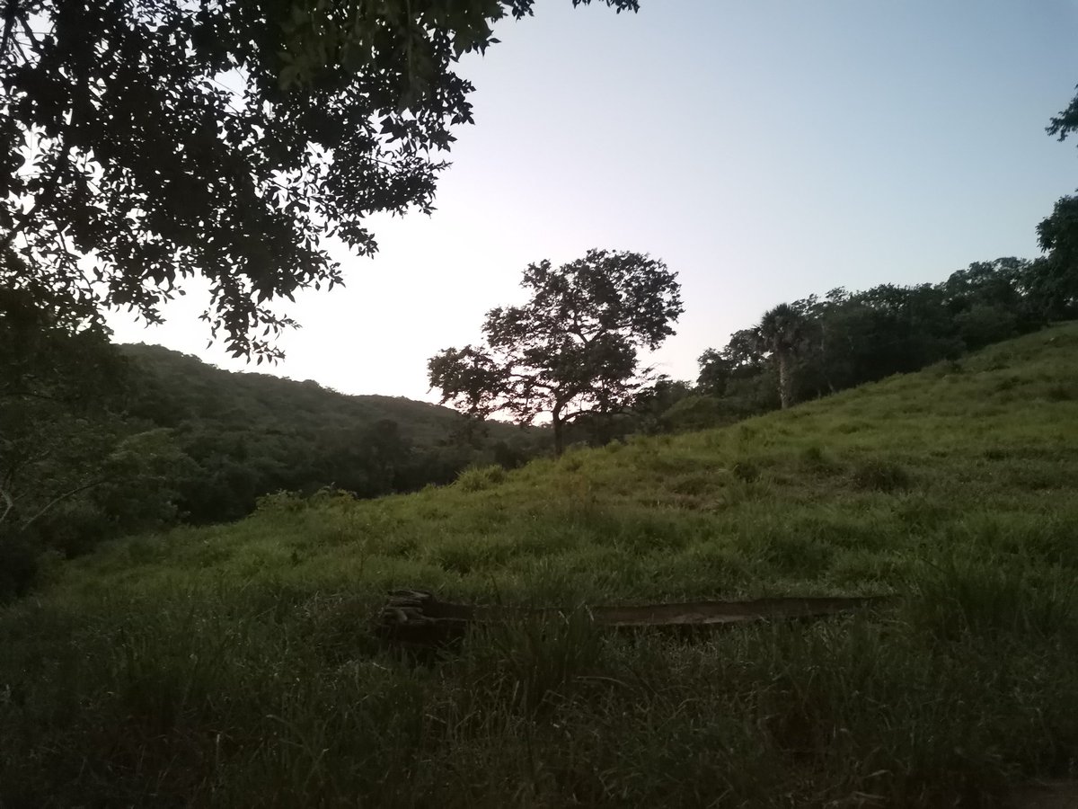 Ranchosybrechas's tweet photo. ¡Excelente sábado!
.
.
.
.
#rancho #ranchlife #postalesdecampo #ganado #cattle #ElCampoNoPara #SoyRanchero #Huasteca #Veracruz #Chiconamel #RanchoCasasViejas https://t.co/MhAGAnHKZW