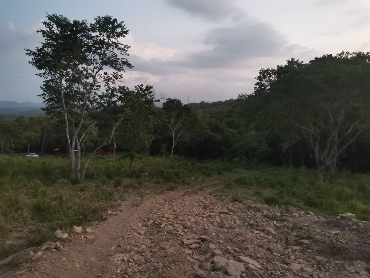 Ranchosybrechas's tweet photo. ¡Excelente sábado!
.
.
.
.
#rancho #ranchlife #postalesdecampo #ganado #cattle #ElCampoNoPara #SoyRanchero #Huasteca #Veracruz #Chiconamel #RanchoCasasViejas https://t.co/MhAGAnHKZW