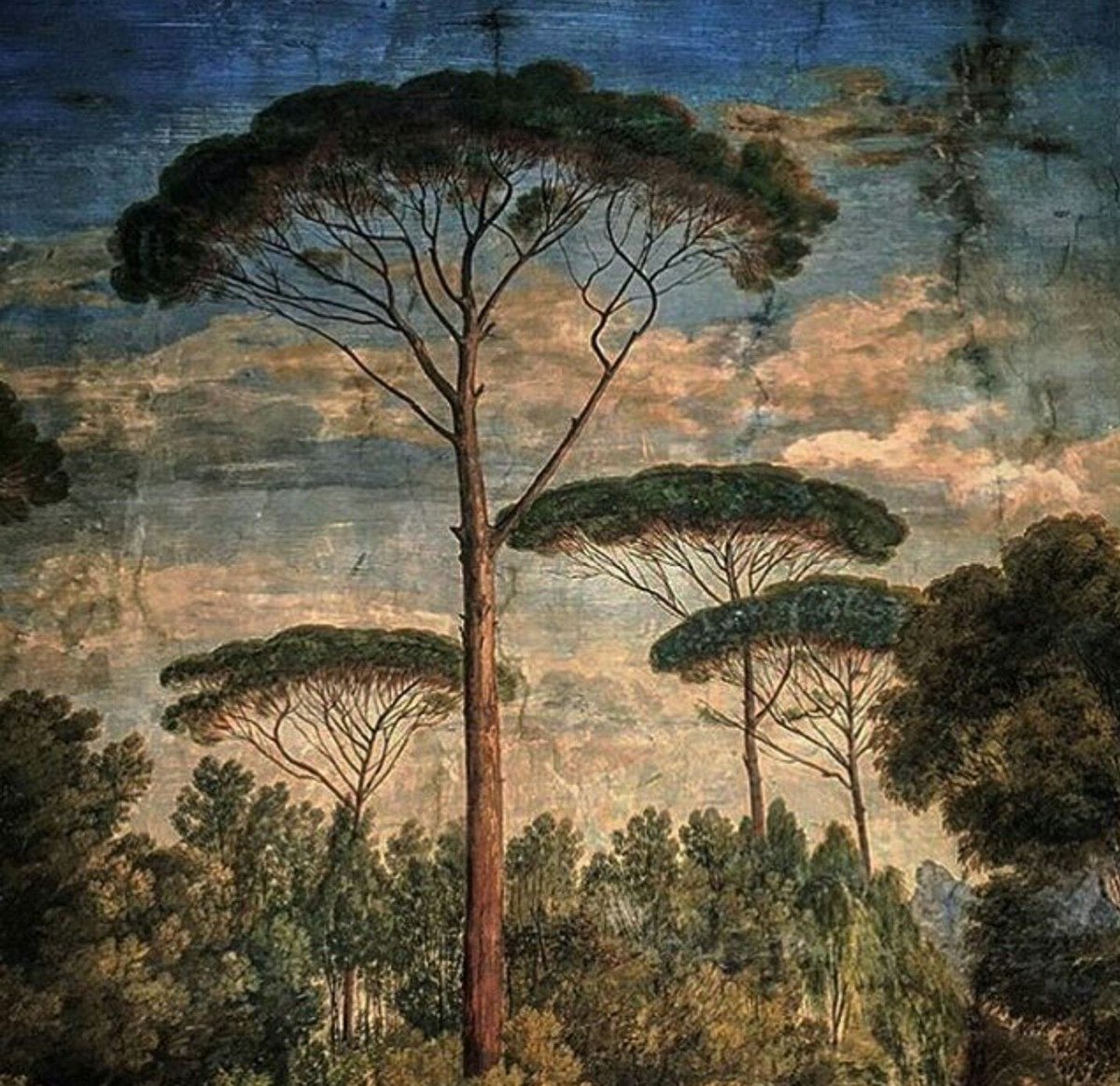 Love of Trees ~ Roman Stone Pines, Umbrella Pines, Italy, Classical Fine Art

#trees #fineart #romanstonepines #umbrellapines #italy #italianfineart #classicalfineart #lovetrees #nature #naturebeauty