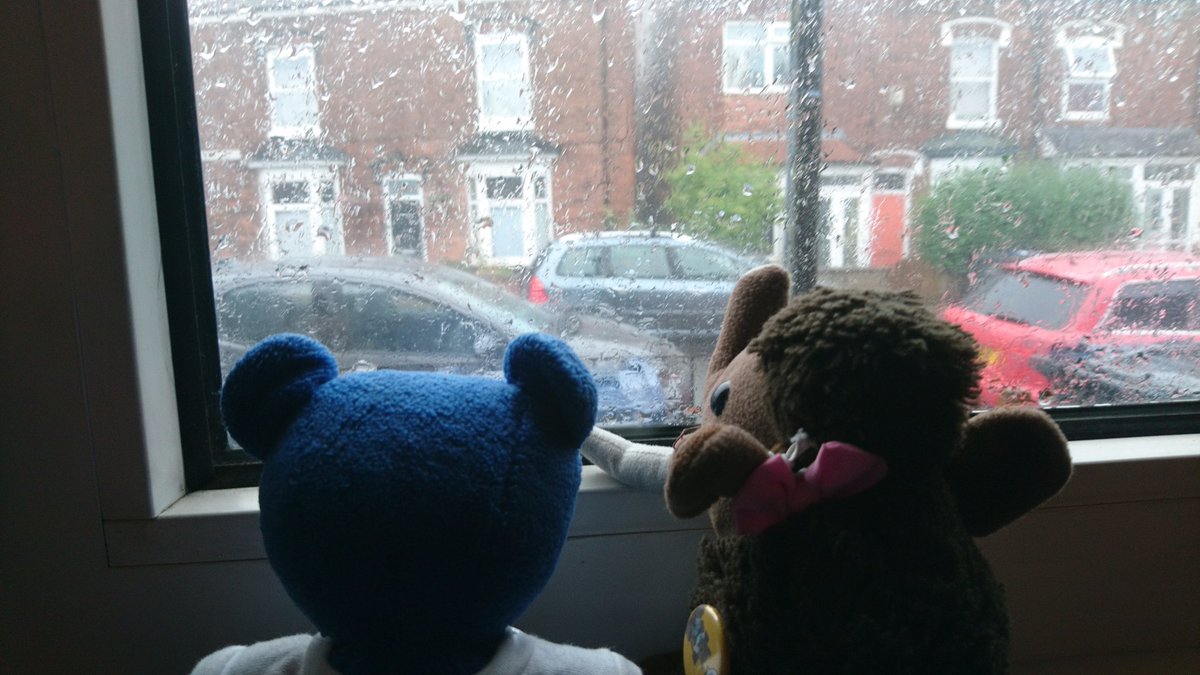 RedditchMammoth's tweet photo. 'Properly driech out there. 'Best we didn't go camping with Human in this. ' 'I'm not sure it was fair to swap the full jar of #Nutella in Human' s bag for the mostly empty one, Blueberry.'' Well, what else was I going to eat all weekend, Milly?' #RainyDay #driech β https://t.co/97gUrLZfyI
