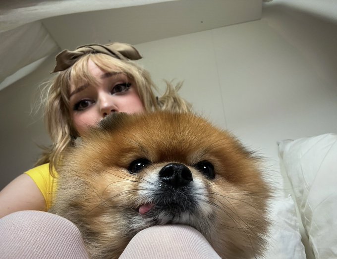 Tass is looking hella cute in that matching outfit 🍪🎀💕 https://t.co/h4oNNXH2MZ