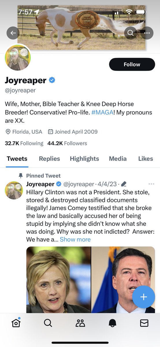 LemirePlant's tweet photo. Hmmmm… I appear to be in good company. Just sitting here. On some books. After the pandemic. 
@JonLemire @msnbc @AymanMSNBC @DeadlineWH @Morning_Joe @JoeNBC @morningmika @11thHour @NicolleDWallace @SRuhle https://t.co/wxsUwXrPi8