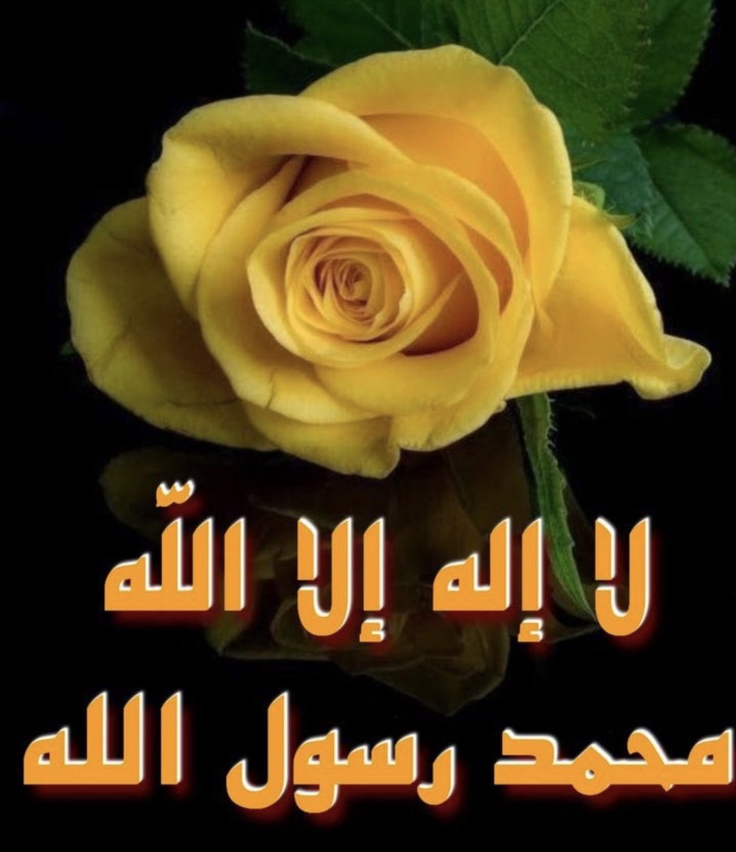 احمد محمد حسان (@n0hwswxxxpqigcw) on Twitter photo 