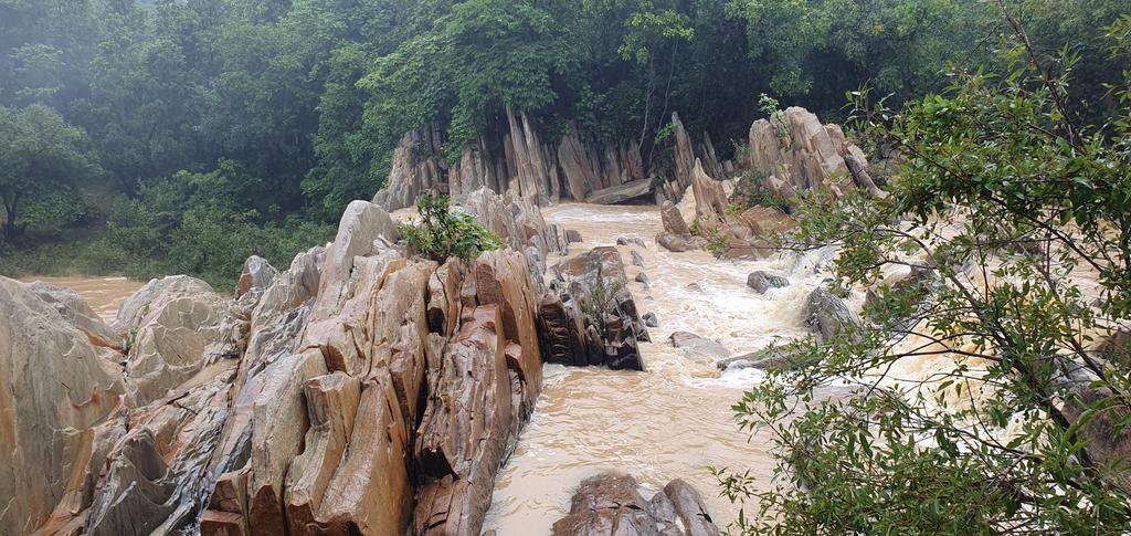 DrAKumarMishra's tweet photo. Visited #Deojharan Waterfalls in #Deogarh last week. Due to heavy rain, #Gohirariver was flowing in full capacity and the waterfalls looked majestic! This used to be the camping ground for forces of the erstwhile Bamanda Kingdom.
#OdishaByRoad
#ExploringOdisha
#OdishaTourism https://t.co/NbGaT2YRvh