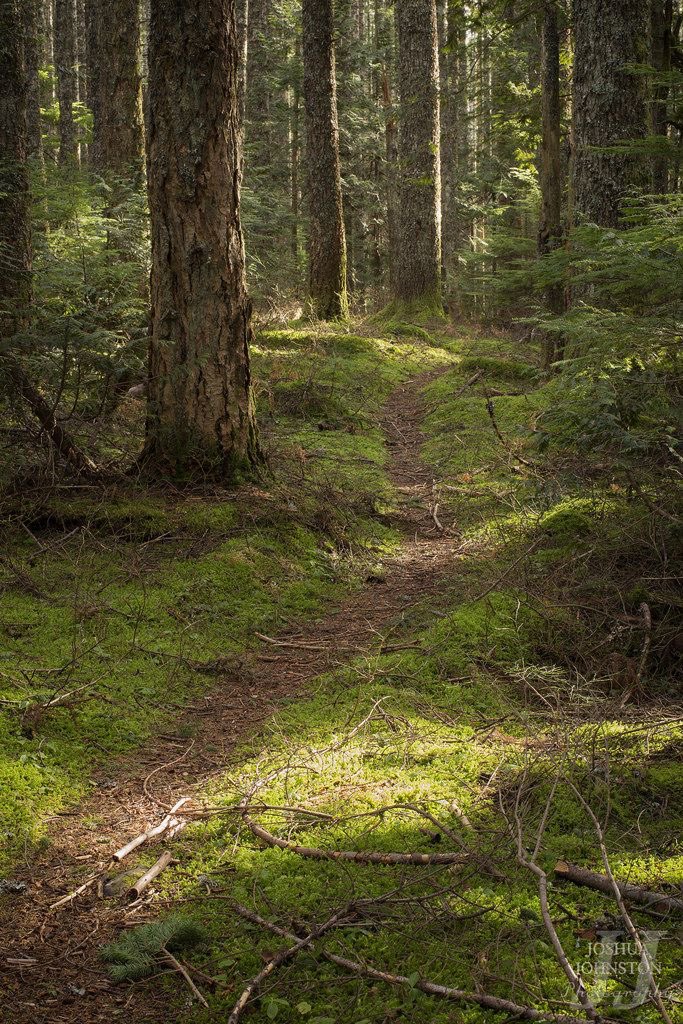 bootwtcamp's tweet image. ↳ @oxeyedu0 @qCucurucho , you’ve been invited to go for an eternal hike by @Honeyiheartyou !

 ✰ oh look, the invite had an extra bit  ..
PS: “ you keep walking till you say yes to me. HAAHAHAHH "