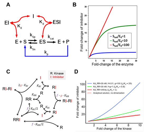 A Combination of Conformation-Specific RAF Inhibitors Overcome Drug Resistance Brought about by RAF Overexpression @jensrauch #UCD #Research dlvr.it/StFDrz