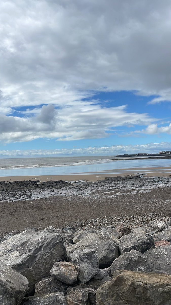 Zoe Wilson tweet media