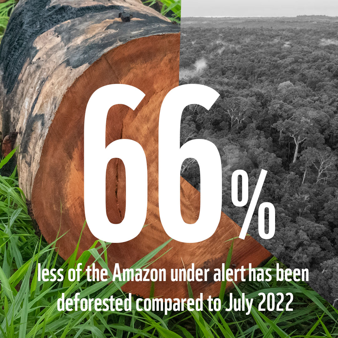 Some good news: Area under deforestation alerts in the Amazon has dropped by 66% since July 2022.

This shows the impact of recent measures like remote embargoes and credit restrictions in curbing deforestation.