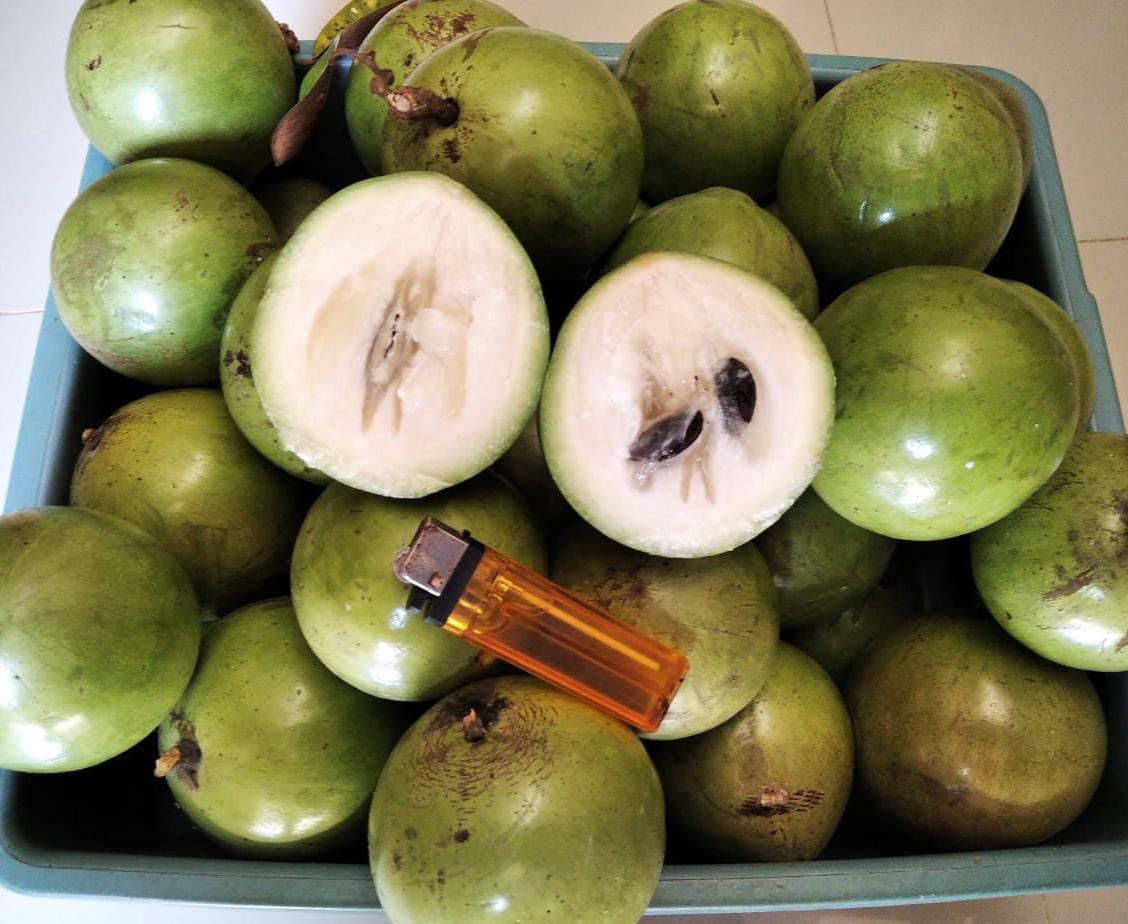 🍒 bakul buah jogja 🍑 tweet media