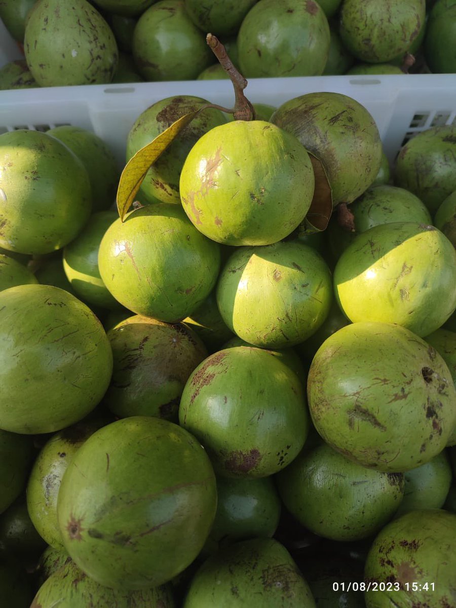 🍒 bakul buah jogja 🍑 tweet media