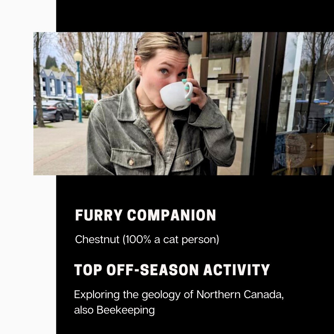 TEAMDAIGLE.NS tweet media