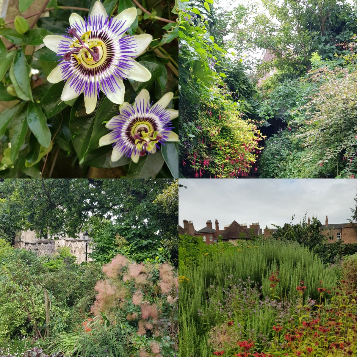 Diese Bilder aus England schicke ich an einen besonderen Gärtner, den ich zwar nur indirekt kenne aber der einen wunderbaren Garten gestaltet hat.
