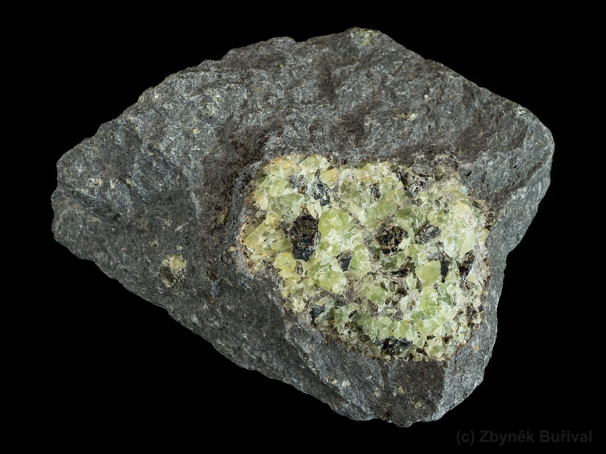 mexporg's tweet photo. Peridotite xenolith in basalt, composed mostly of green #Forsterite (#Peridot), from Smrčí, Czech Republic.
#minerals #crystals #mineralcollecting #mineralexpert #rockhounding #mineralogy https://t.co/l0SEuHPy6G