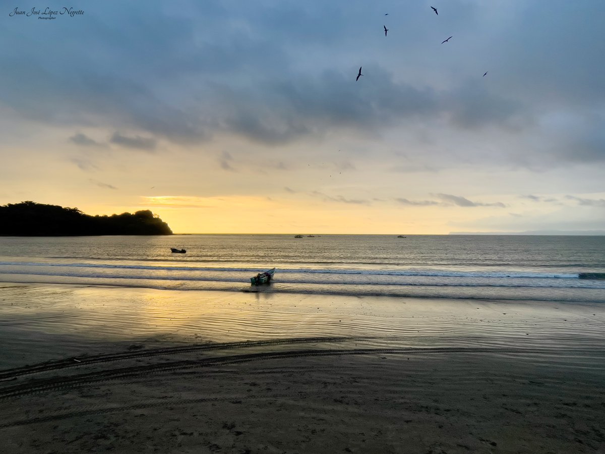 JJLN0468's tweet photo. La vida tranquila es un derecho, no un privilegio de quienes puedan pagarla.
#Ecuador #Mompiche #photo #photography #photographer https://t.co/Rep6L5viKT