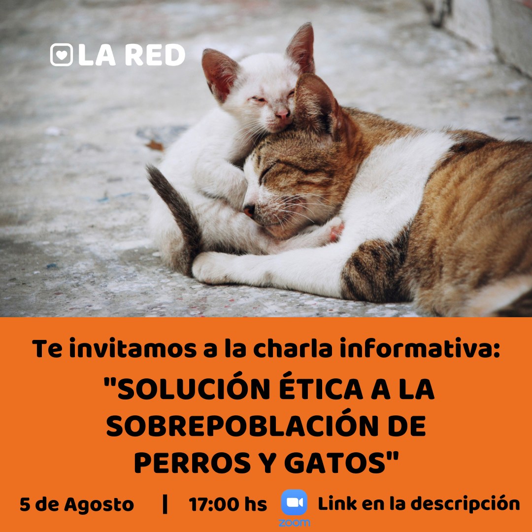 Red de Políticas Públicas tweet media
