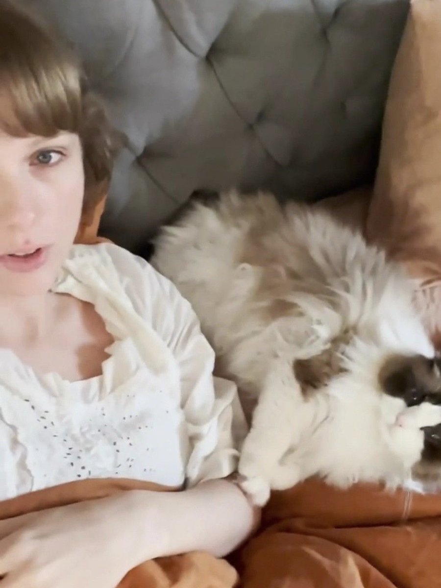 louaylor comfort (@louaylorcmft) on Twitter photo 