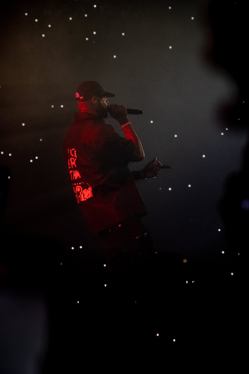 Best Of Piraterie tweet media