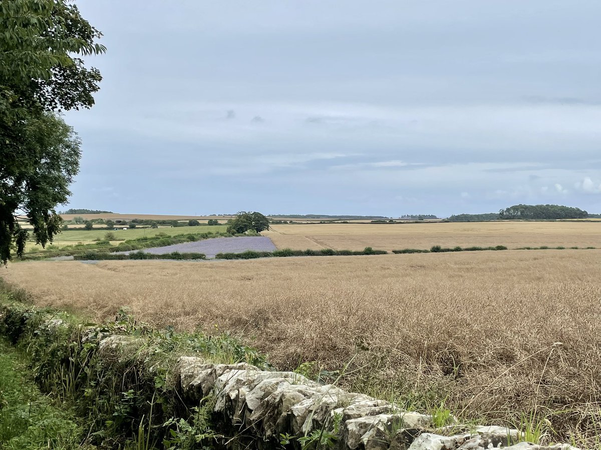 lauriebrennan's tweet photo. Cloudy morning but headed to the beach anyway. Quick ride to #ellingham this aft @VisitNland https://t.co/fuIXK9CFfQ