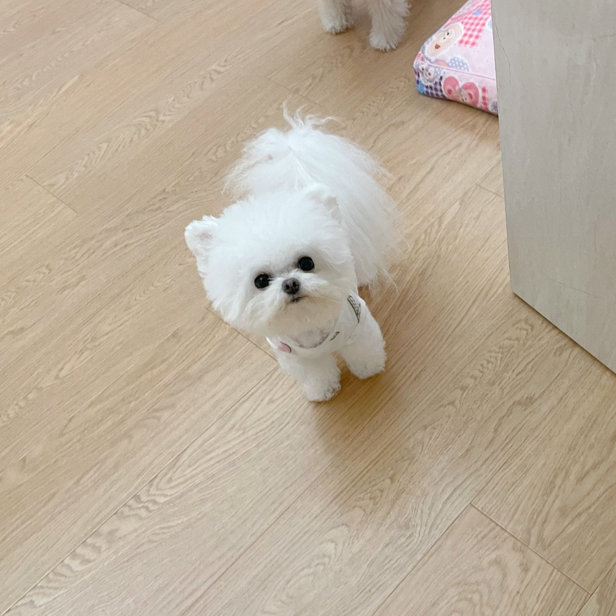 jdb_moon's tweet photo. 翻到旧照片 https://t.co/oIHz16fVgp