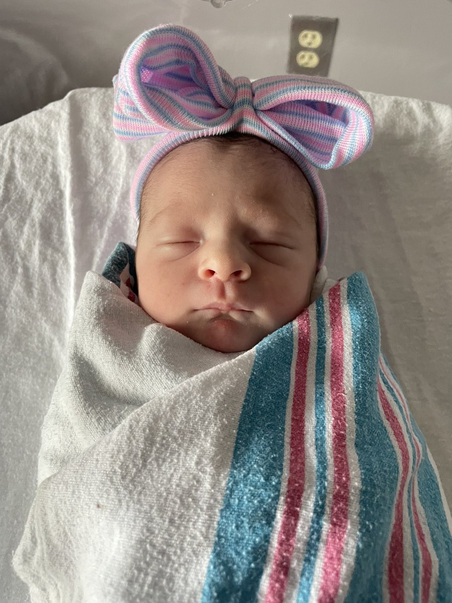 Josh Cascio 🇺🇸 tweet media