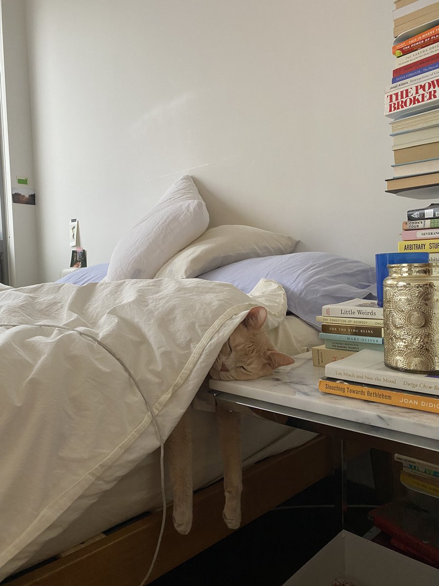 Pillows. Natural lighting. The Power Broker. Minor cord violation. 9/10