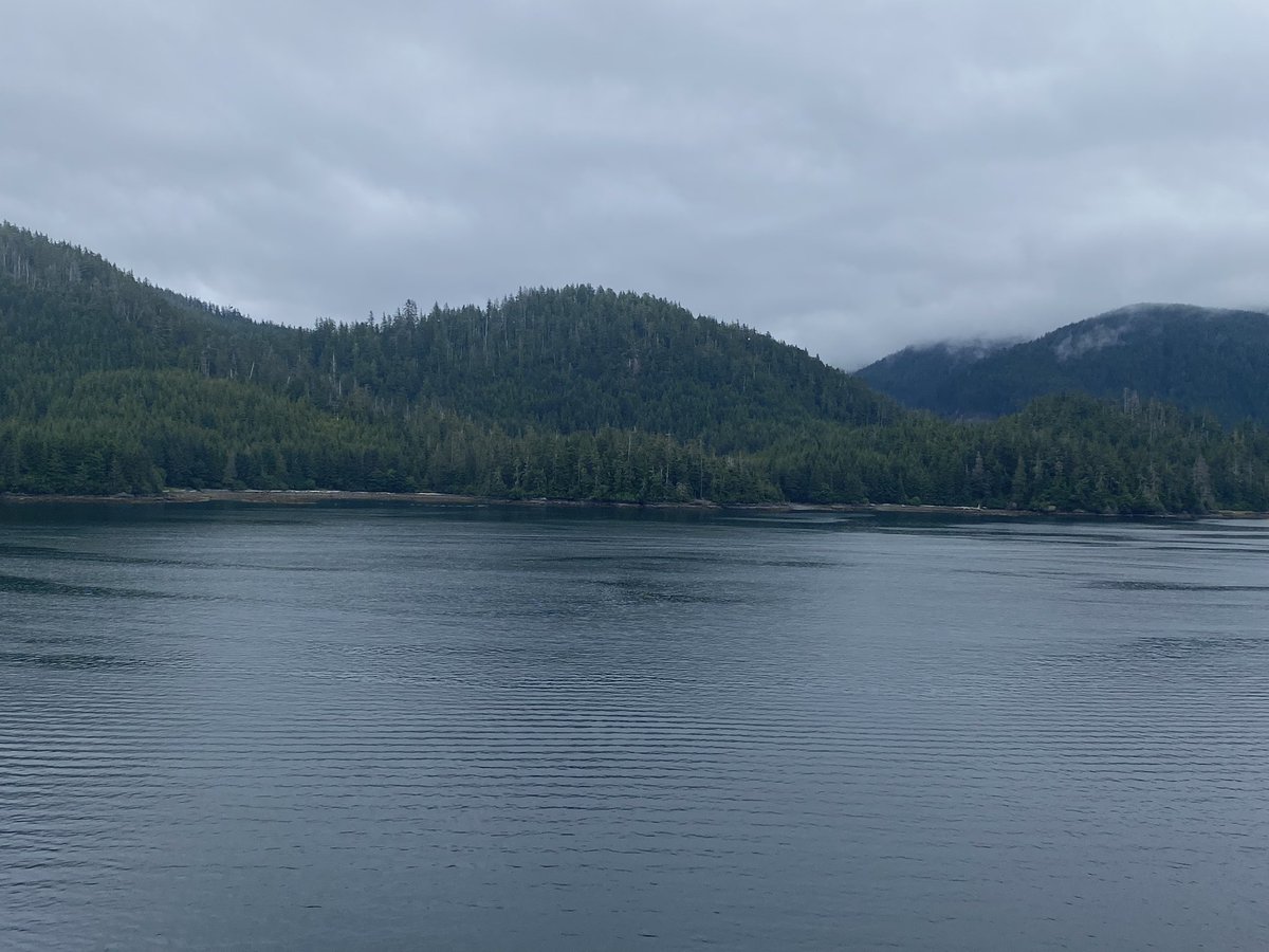 Tamika Brown tweet media