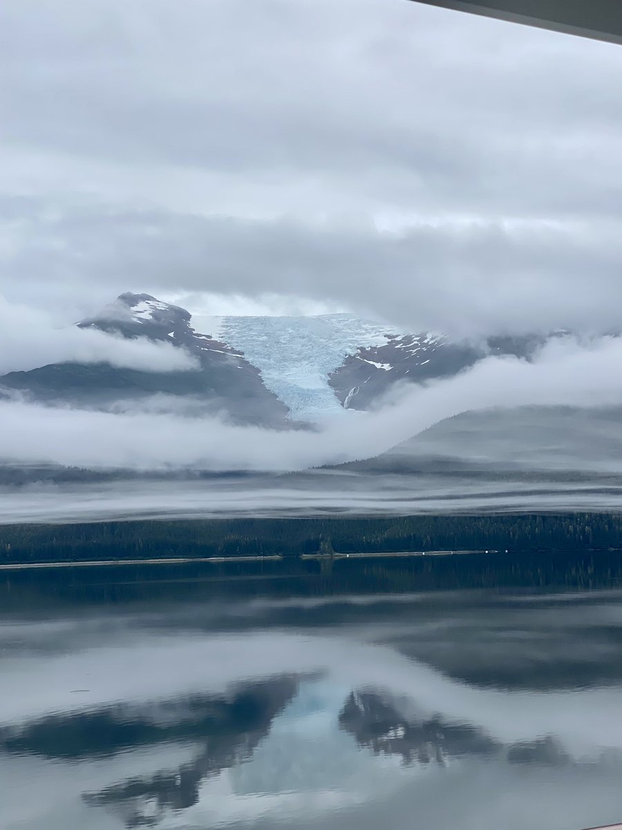 Tamika Brown tweet media