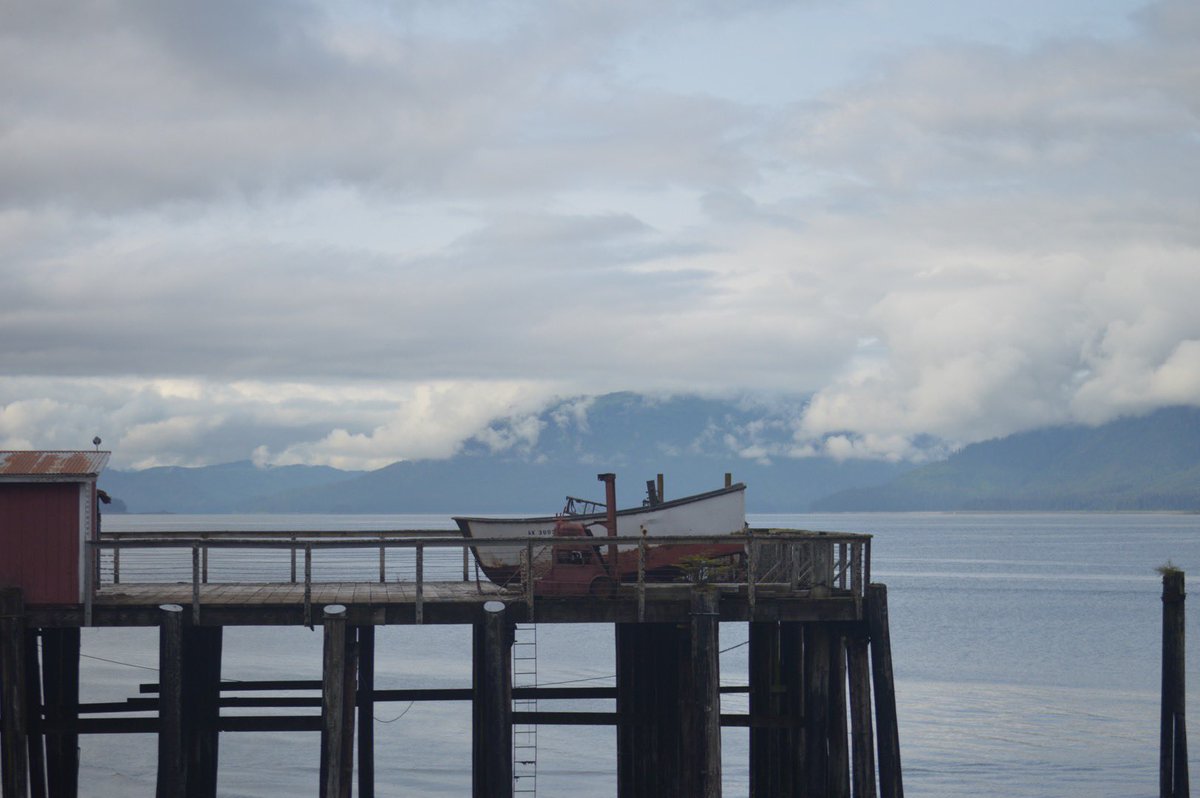 Tamika Brown tweet media