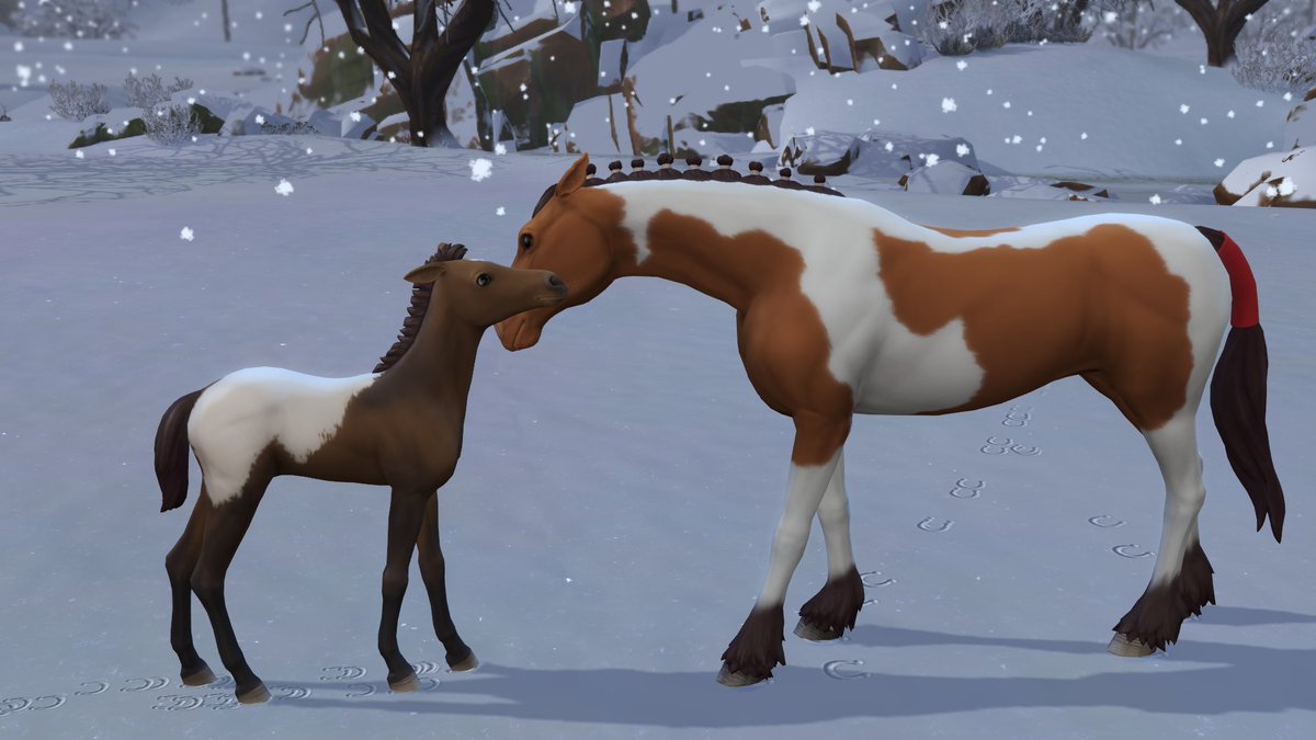 Awwww! Luna and her young filly, Starbrite, share an affectionate moment. Cuteness overload!

#TheSims4 #TheSims4HorseRanch