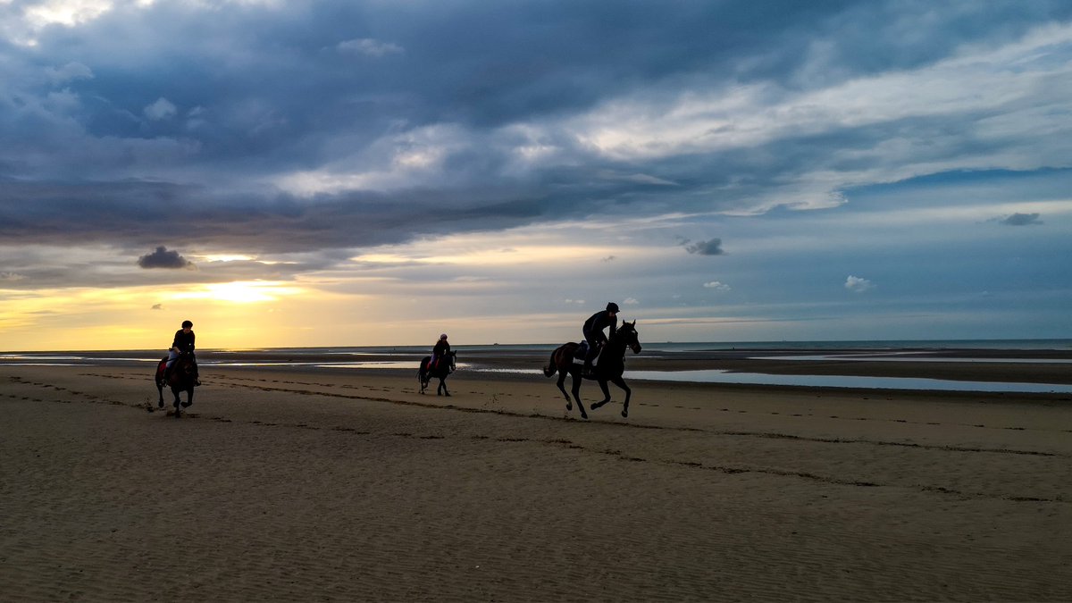 Gary Weeks Photography tweet media