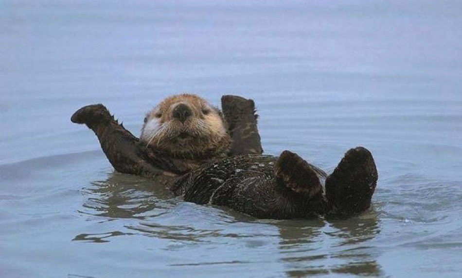 صدو چهل دو نفرتون فالوم کنین رند میشممم
 زودی بهتون بک میدم بچه ها
<a href="/weareoneEXO/">EXO</a> #EXO
<a href="/B_hundred_Hyun/">Baekhyun_EXO</a> <a href="/layzhang/">Lay Zhang</a>