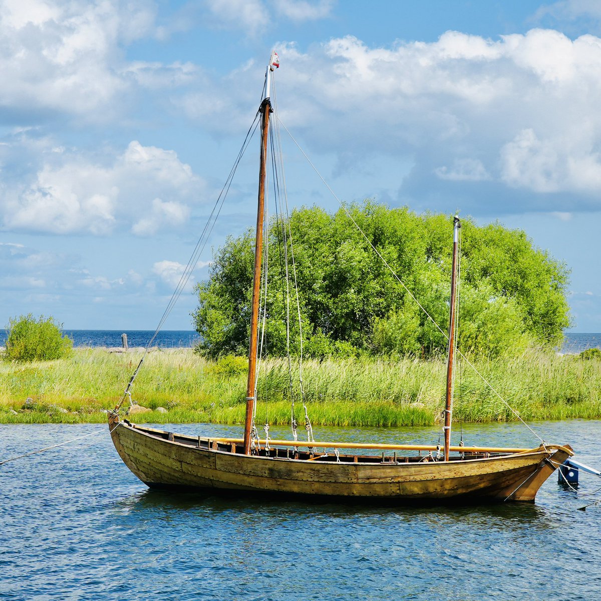 S/V HOPE tweet media