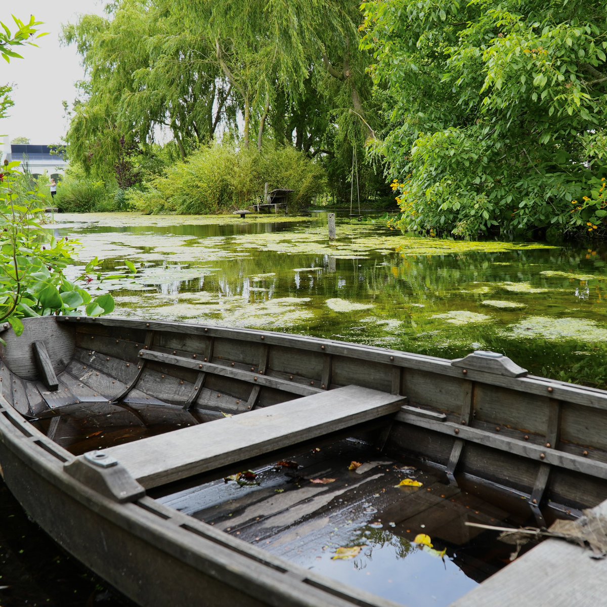 S/V HOPE tweet media