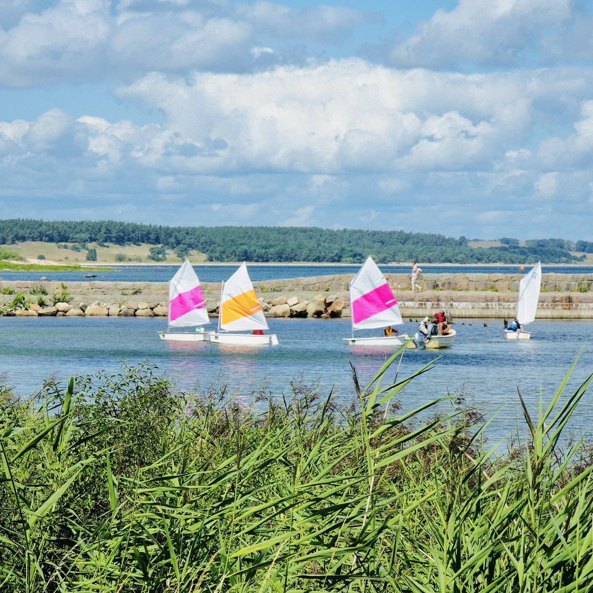 S/V HOPE tweet media