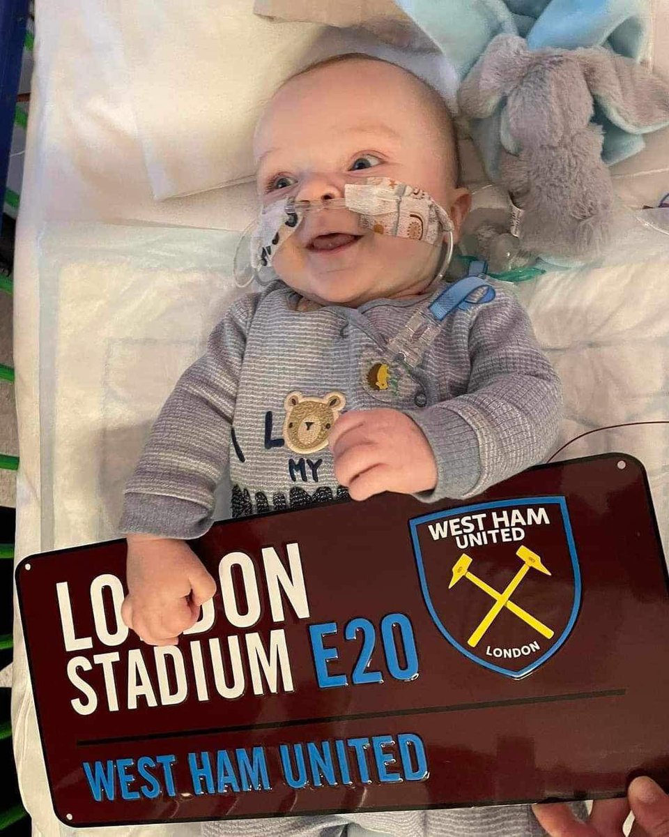 This little guy Freddy Turp is in GOSH Fighting Leukemia &amp; has spent most of his life there. Please if you can Share his go fund me page and donate   🙏🏻 #freddyisafighter  gofundme.com/f/help-little-…