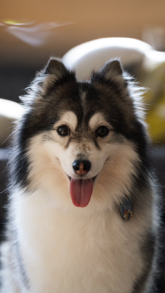 themiyagram tweet media