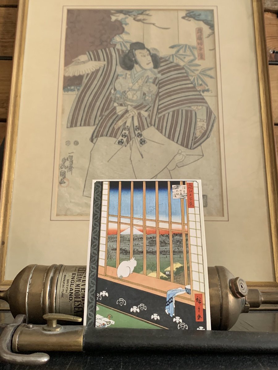 found a place to the cat that i adopted from the museum store the other day