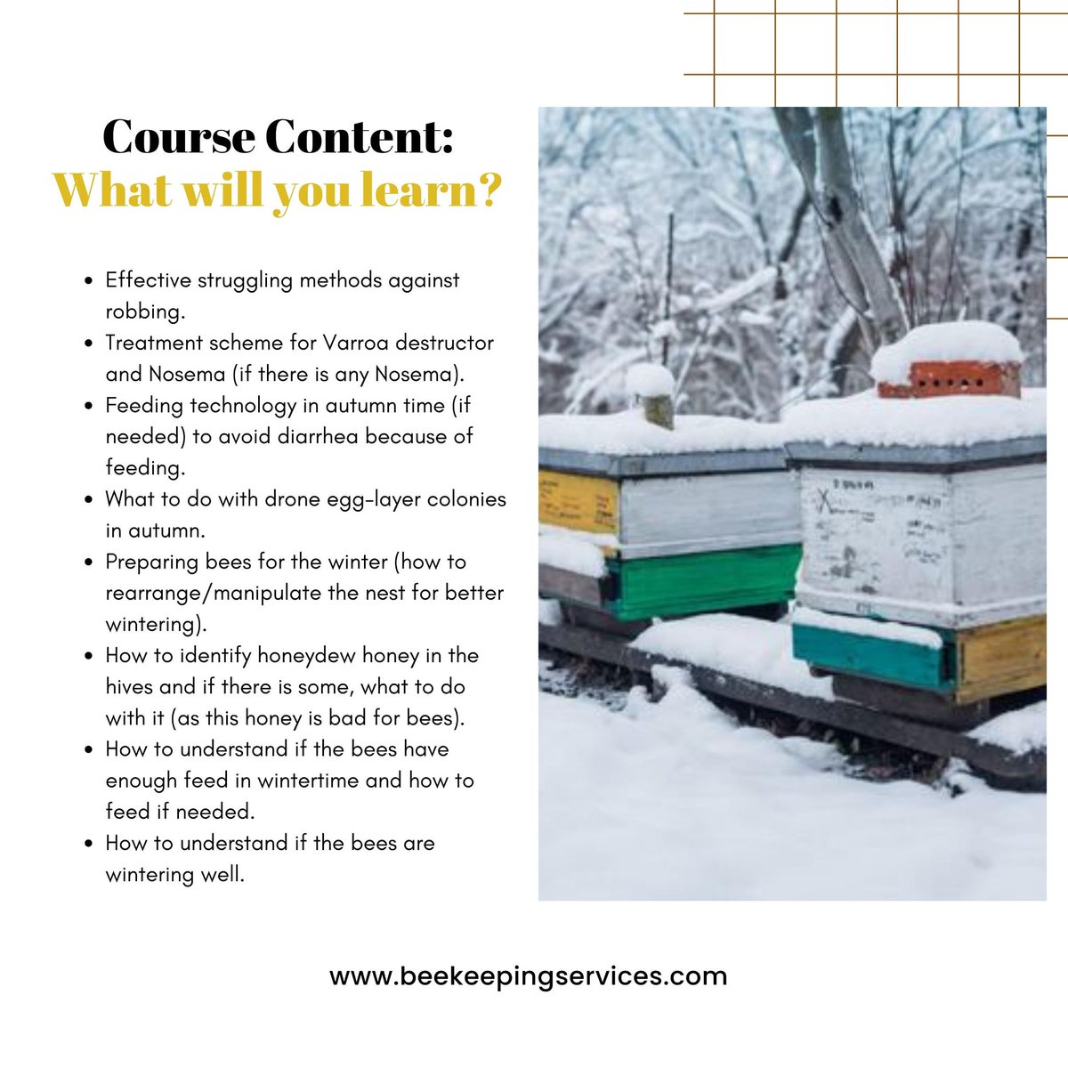 KarenAvetisyan2's tweet image. Join our immersive class starting on August 10th, 2023, 7:00 PM EST, and embark on a fascinating journey to prepare honey bee colonies for the winter.

Participants will be rewarded with certificates. 

beekeepingservices.com/online-beekeep…
.
#HoneyBees #WinterPreparation #BeekeepingClass