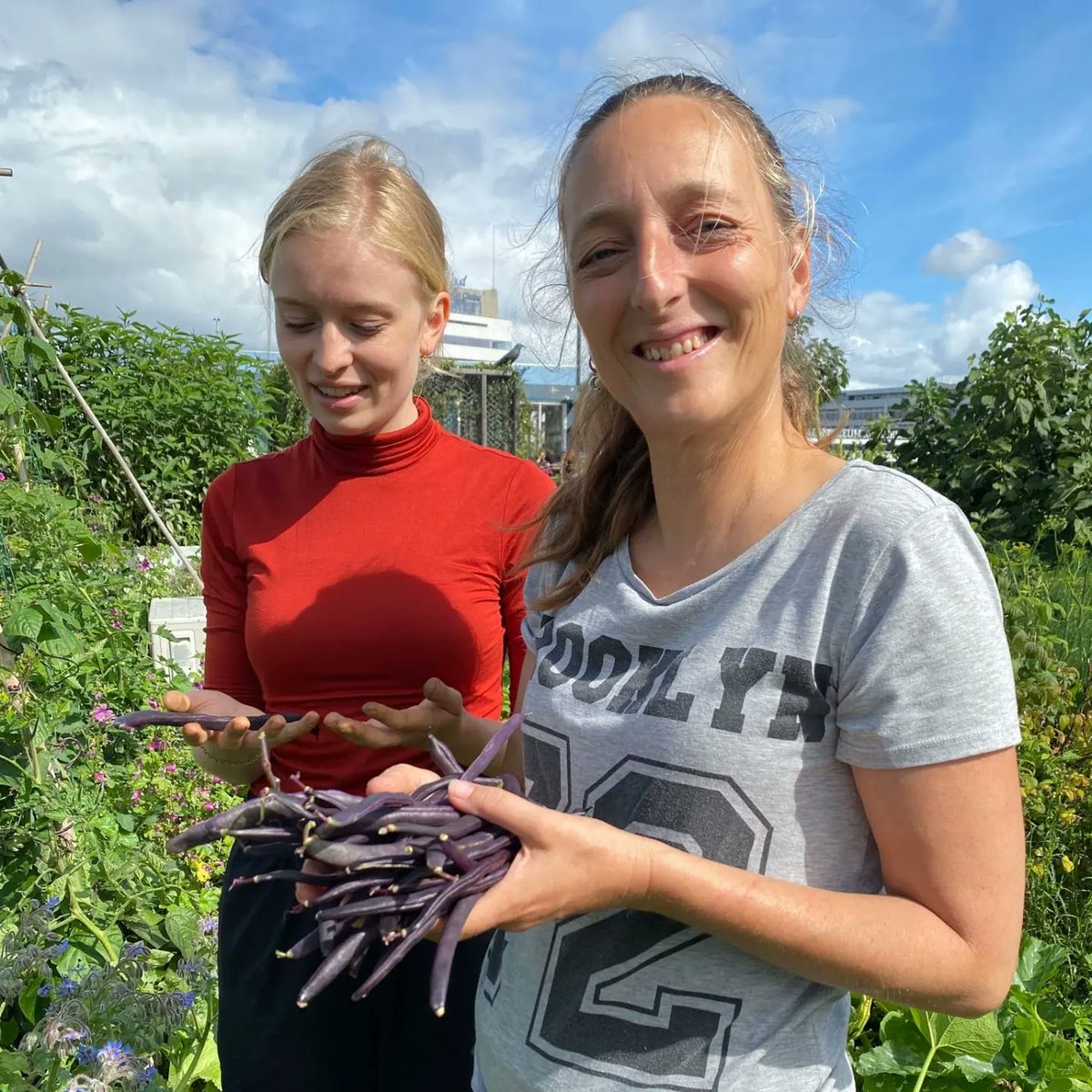 d_akkers's tweet photo. #FARMINGTHECITY ! On the #DakAkker #rooftopfarm on an officebuilding downtown #Rotterdam 🥕🥒🌶🍅🌱

#Rotterdamisblooming #rooftopfarming #rooftopfarmers #rooftopgarden #urbanagriculture #urbanfarming #urbanfarm #stadslandbouw #rooffood #farming #wgrd2023 #gardening #urbanfarmer https://t.co/XzT3a11MsX