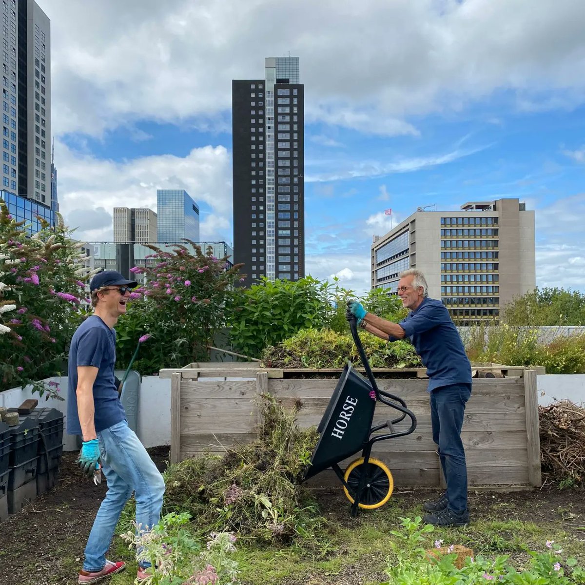 #FARMINGTHECITY ! On the #DakAkker #rooftopfarm on an officebuilding downtown #Rotterdam 🥕🥒🌶🍅🌱

#Rotterdamisblooming #rooftopfarming #rooftopfarmers #rooftopgarden #urbanagriculture #urbanfarming #urbanfarm #stadslandbouw #rooffood #farming #wgrd2023 #gardening #urbanfarmer