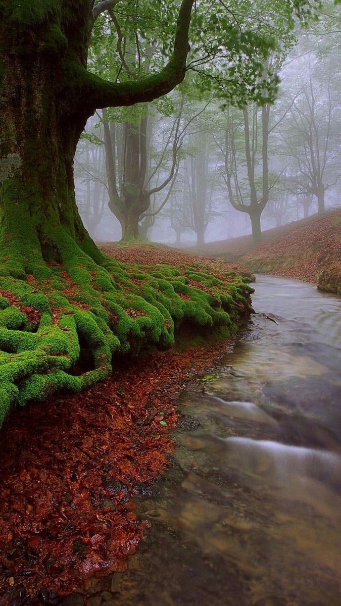 __Earthposts's tweet photo. https://t.co/osSoH5wsDl