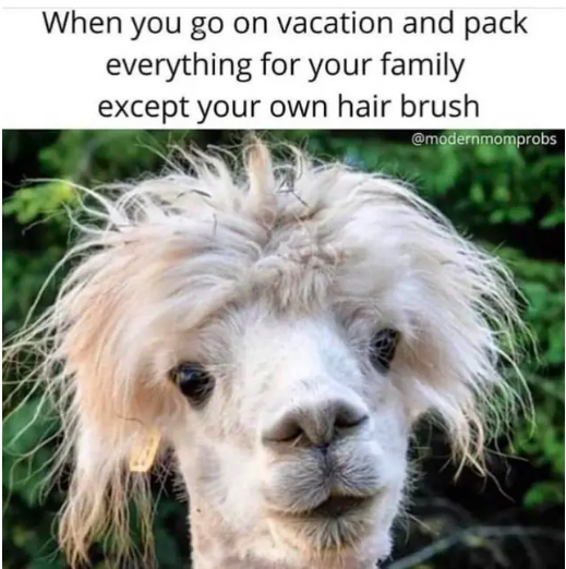 joovy's tweet image. There's no feeling quite like leaving the house knowing you forgot something and yet never knowing what that thing is 😂😅 credit: @modernmomproblems #vacationproblems #family #summervacation #parentlife #momlife #dadlife