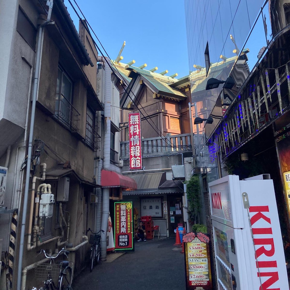 Dong-Yo（トウ） tweet media