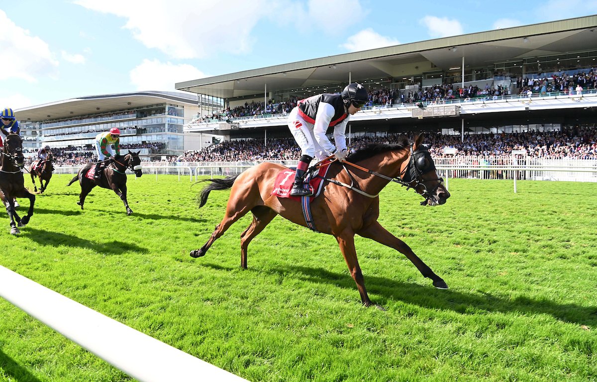 Galway_Races's tweet photo. 🏆6th race: The Ardilaun Hotel Handicap
Won by: Dragon Of Malta
Trained by: P F O'Donnell
Ridden by: Colin Keane
Owned by: Gzira Syndicate
👏Congratulations from all the team at Galway Racecourse
📸Healy Racing
#GalwayRaces #RarinToGo #LetsRace https://t.co/UbRlIAK7mz
