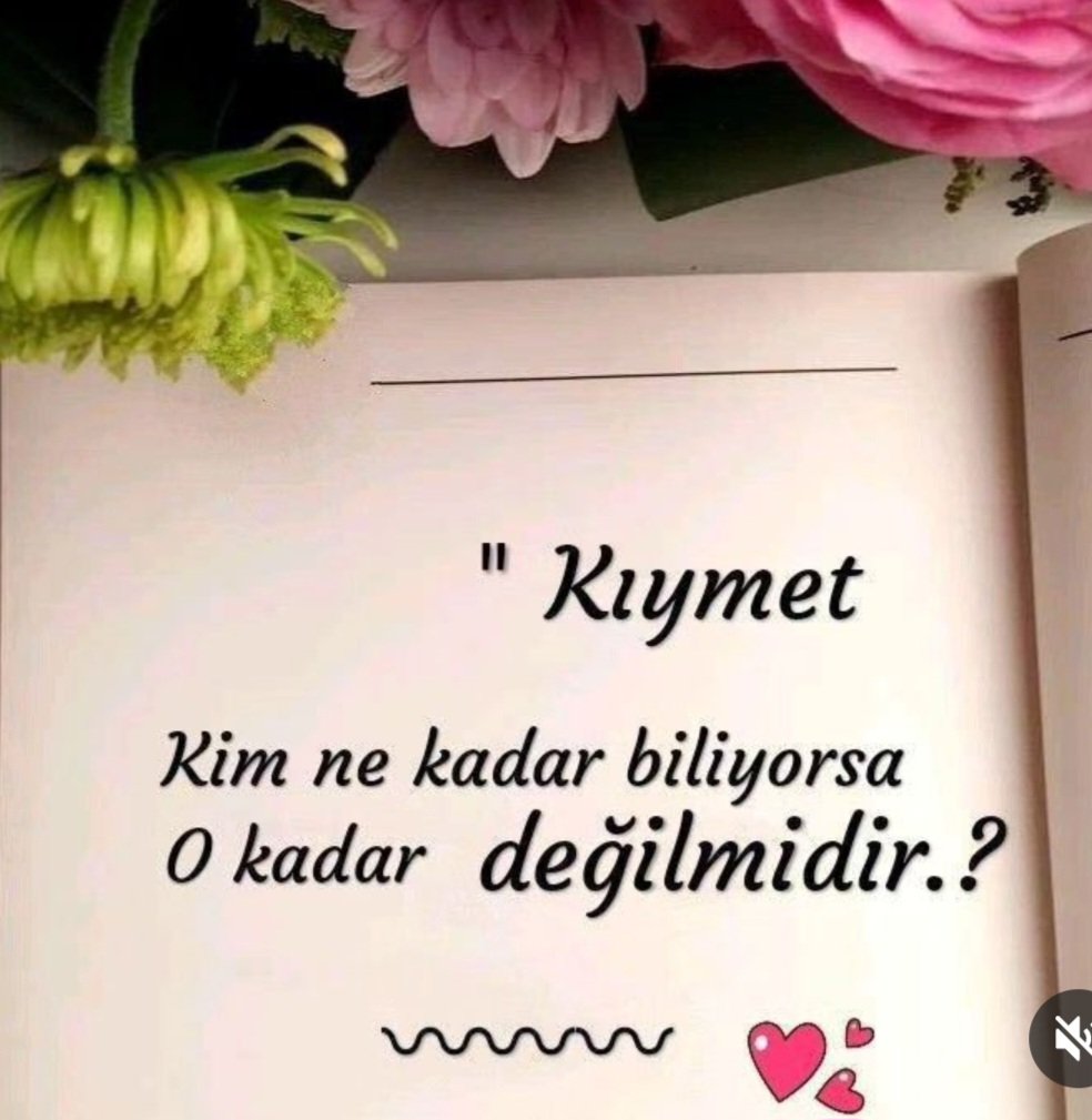 Pelin (@pelince2022) on Twitter photo 