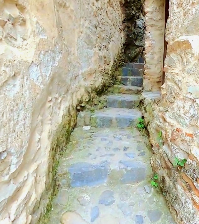 PatFurstenberg's tweet photo. 🏰 The #history and #legends of Bran Castle, the #myth of Girls' Fair, the love and sacrifice of a #Queen, this is DREAMLAND
https://t.co/aruucbiSCo
"A captivating read."
#histfic #books #99c #99p #KindleUnlimited #Romania #Transylvania #travel #shortstories #Ib6 #IARTG https://t.co/FRwE7ujG9x