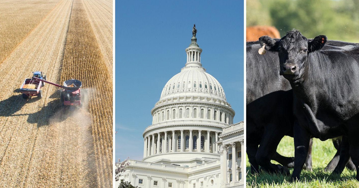 GeorgiaTwine's tweet photo. 7 ag stories you can't miss - August 4, 2023 https://t.co/LGAIidB6I8 https://t.co/tArfTcOL3T