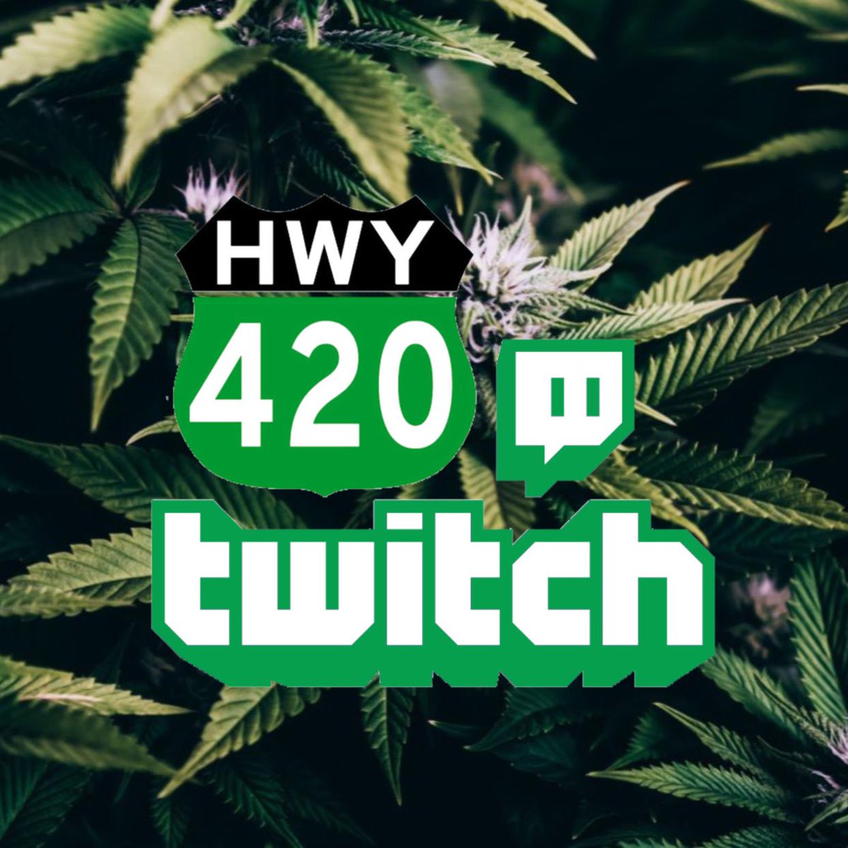 420Twitch tweet media