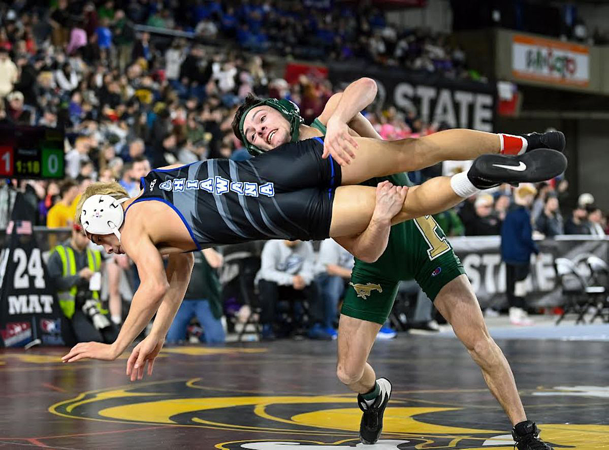 Todd Shurtleff tweet media