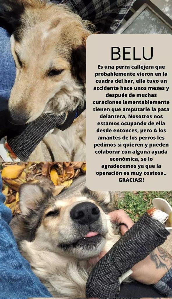 Maribel (@marigiungii) on Twitter photo 